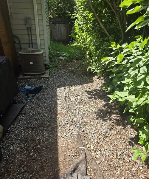 Patio renovation  in Shoreline 